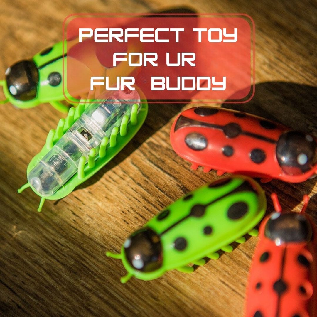 BUG BUDDY INTERACTIVE TOY FOR CATS (Pack of 3)