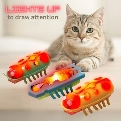 BUG BUDDY INTERACTIVE TOY FOR CATS (Pack of 3)