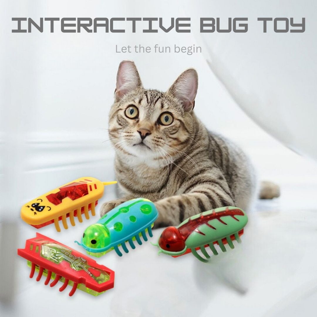 BUG BUDDY INTERACTIVE TOY FOR CATS (Pack of 3)